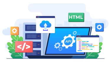 Best Web Development Services Near me